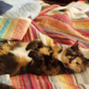 Meet your Posher, Emma